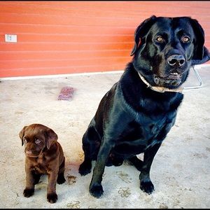 Meet your Posher, Meagan